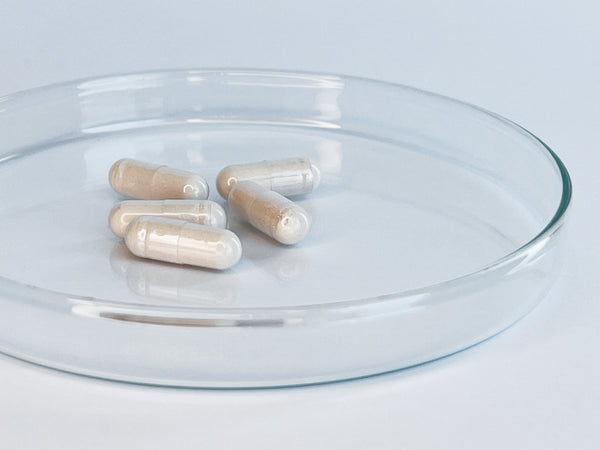 Spermidinas (3mg kapsulės, 60 vnt.)
